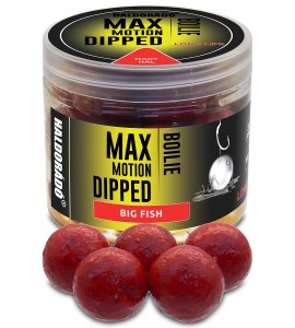 Haldorádó MAX MOTION Boilie Dipped 20 mm - Nagy Hal