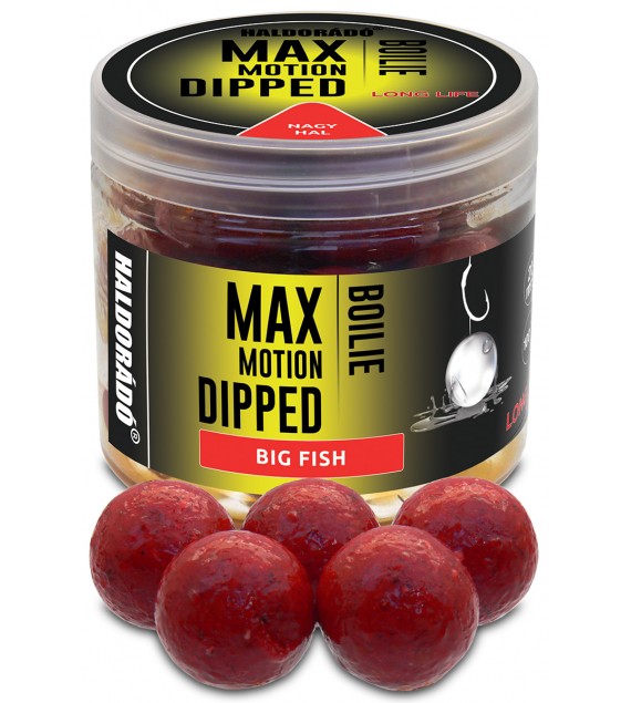 Haldorádó MAX MOTION Boilie Dipped 20 mm - Nagy Hal