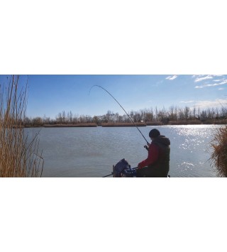 TOP MIX T-Rex Method feeder bot 390 H