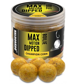 Haldorádó MAX MOTION Boilie Dipped 20 mm - Champion Corn