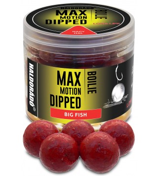 Haldorádó MAX MOTION Boilie Dipped 20 mm - Nagy Hal
