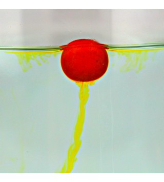 Motabacarp Wafters Smoke - Mango 10mm